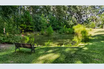 1355 Highway 15, Saint George, SC 29477 - Photo 65
