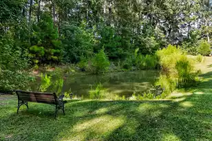 1355 Hwy 15, Saint George, SC 29477 - Photo 65
