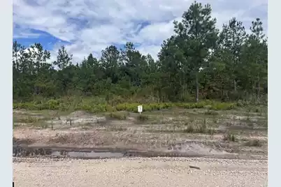 Lot 3 Walker Road, Ridgeville, SC 29472 - Photo 1