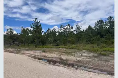 Lot 3 Walker Road, Ridgeville, SC 29472 - Photo 3