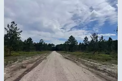 Lot 4 Walker Road, Ridgeville, SC 29472 - Photo 3