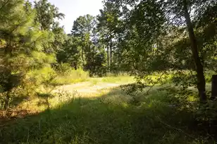 69 Nuthatch Ln, Cottageville, SC 29435 - Photo 27