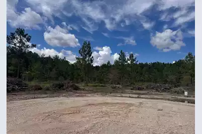 Lot 5 Walker Road, Ridgeville, SC 29472 - Photo 3