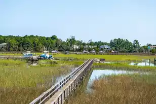 2384 Darts Cove Way, Mount Pleasant, SC 29466 - Photo 87