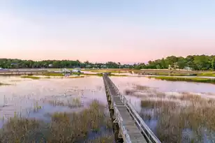 2384 Darts Cove Way, Mount Pleasant, SC 29466 - Photo 129