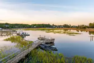 2384 Darts Cove Way, Mount Pleasant, SC 29466 - Photo 117