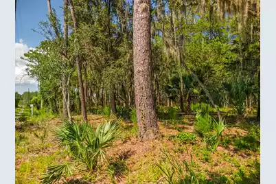 7860 Russell Creek Road, Edisto Island, SC 29438 - Photo 19