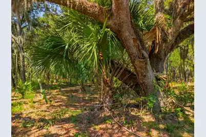 7860 Russell Creek Road, Edisto Island, SC 29438 - Photo 17