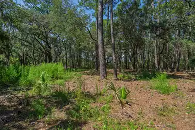 7860 Russell Creek Road, Edisto Island, SC 29438 - Photo 25