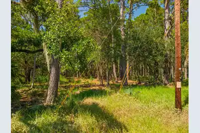 7860 Russell Creek Road, Edisto Island, SC 29438 - Photo 13