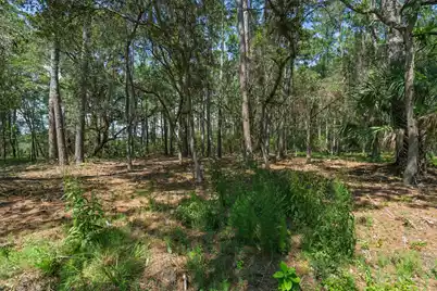 7860 Russell Creek Road, Edisto Island, SC 29438 - Photo 27