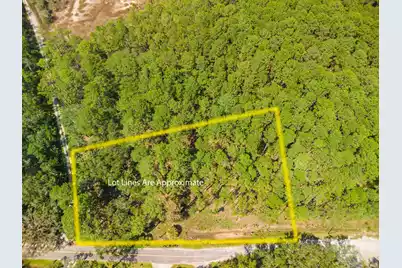 7860 Russell Creek Road, Edisto Island, SC 29438 - Photo 3