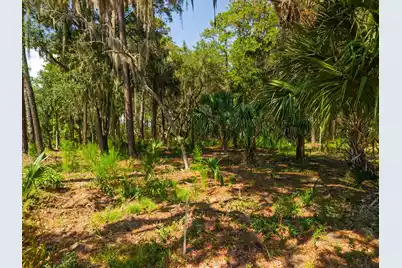7860 Russell Creek Road, Edisto Island, SC 29438 - Photo 9