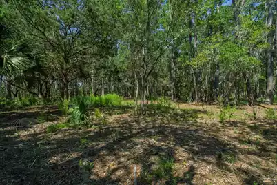 7860 Russell Creek Road, Edisto Island, SC 29438 - Photo 23