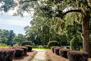 120 Petrell Rd, Summerville, SC 29483 - Photo 25