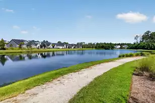 1533 Billington Dr, Mount Pleasant, SC 29466 - Photo 41