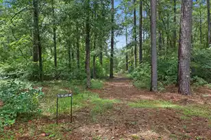 17 Blake Ln, Seabrook, SC 29940 - Photo 55