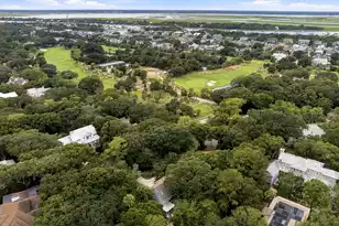 6 Conch Ct, Isle Of Palms, SC 29451 - Photo 85