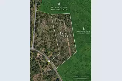 3796 Highway 402, Cordesville, SC 29434 - Photo 1