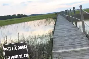 2138 Landfall Way, Seabrook Island, SC 29455 - Photo 29