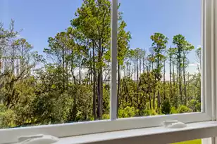 2276 Minifarm Wy, Mount Pleasant, SC 29466 - Photo 21