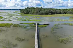 1389 Polly Point Rd, Wadmalaw Island, SC 29487 - Photo 47