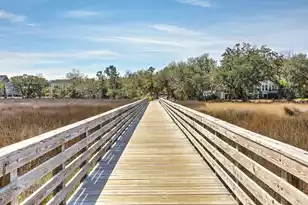 1675 Pierce St, Charleston, SC 29492 - Photo 45