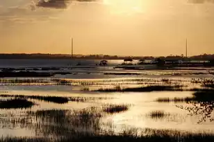 3100 Shore Dr S, Charleston, SC 29407 - Photo 31
