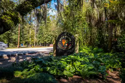 148 Fernbank Road, Johns Island, SC 29455 - Photo 29