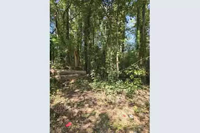 0 Nance Street, Orangeburg, SC 29115 - Photo 1
