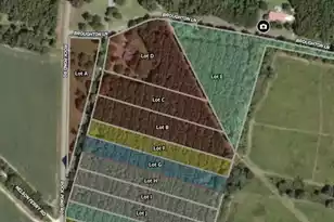 0 Rocks Pond Road #Lot G, Eutawville, SC 29048 - Photo 1