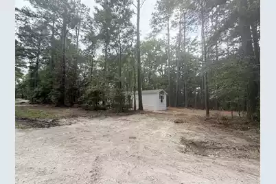 911 Poling Lane, Round O, SC 29474 - Photo 3