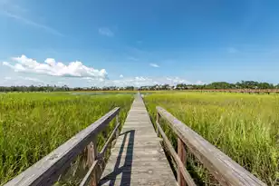 2765 Parkers Landing Rd, Mount Pleasant, SC 29466 - Photo 79