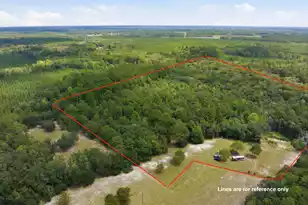202 Alford Pl, Walterboro, SC 29488 - Photo 1