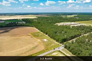 8004 Edmund Hwy, Pelion, SC 29123 - Photo 5