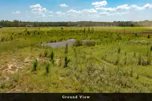8004 Edmund Hwy, Pelion, SC 29123 - Photo 15