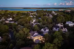 153 King George St, Charleston, SC 29492 - Photo 23