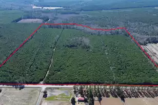 0 Seaboard Rd, Andrews, SC 29510 - Photo 1
