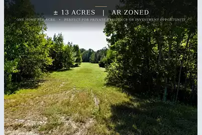 0 Bethel Cemetery Road, Reevesville, SC 29471 - Photo 11