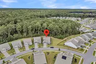202 River Martin Ct, Summerville, SC 29483 - Photo 49