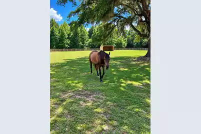 3189 Edenvale Road, Johns Island, SC 29455 - Photo 83