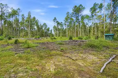 0 Barracada, Walterboro, SC 29488 - Photo 5