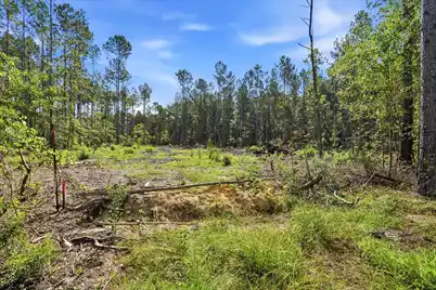 0 Barracada, Walterboro, SC 29488 - Photo 11