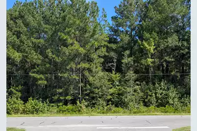 0 Prices Bridge Lane #0, Walterboro, SC 29488 - Photo 1