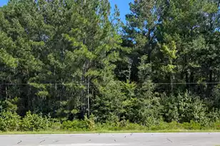 0 Prices Bridge Ln, Walterboro, SC 29488 - Photo 1