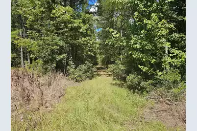 0 McAlhany Road, Reevesville, SC 29471 - Photo 1