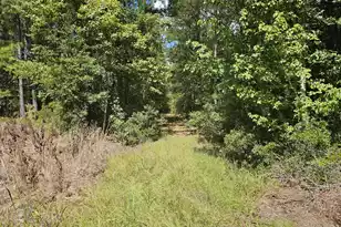 0 McAlhany Rd, Reevesville, SC 29471 - Photo 1