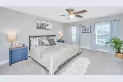 3845 Tupelo Branch Row, Mount Pleasant, SC 29429 - Photo 29
