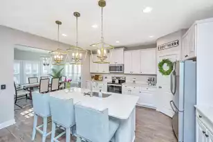 3845 Tupelo Branch Row, Mount Pleasant, SC 29429 - Photo 15