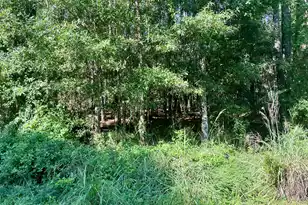 511 Chicora Ln, Yemassee, SC 29945 - Photo 13